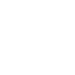 QCSA Logo